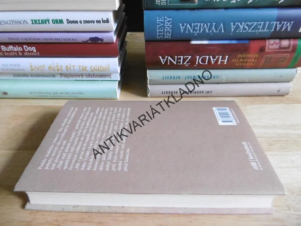 SPIKNUTÍ GRÁLU, LYNN SHOLESOVÁ, JOE MOORE, **an