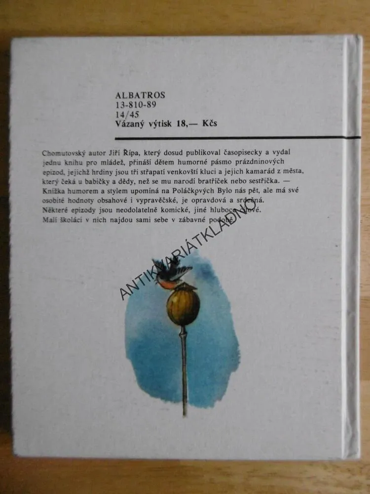 SESTŘIČKA PĚKNÁ TŘI KILA TŘICET, ŘÍPA, KREJČOVÁ