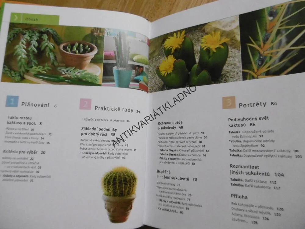 KAKTUSY A JINÉ SUKULENTY, ZAHRADA PRO RADOST, UHLIG