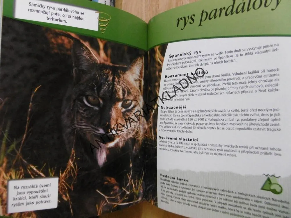 OHROŽENÁ ZVÍŘATA, OBYVATELÉ MOŘÍ A OCEÁNŮ, TROPCKÝCH LESŮ, HIOR, SAVAN A STEPÍ, POUŠTÍ A POLÁRNÍCH OBLASTI, **an