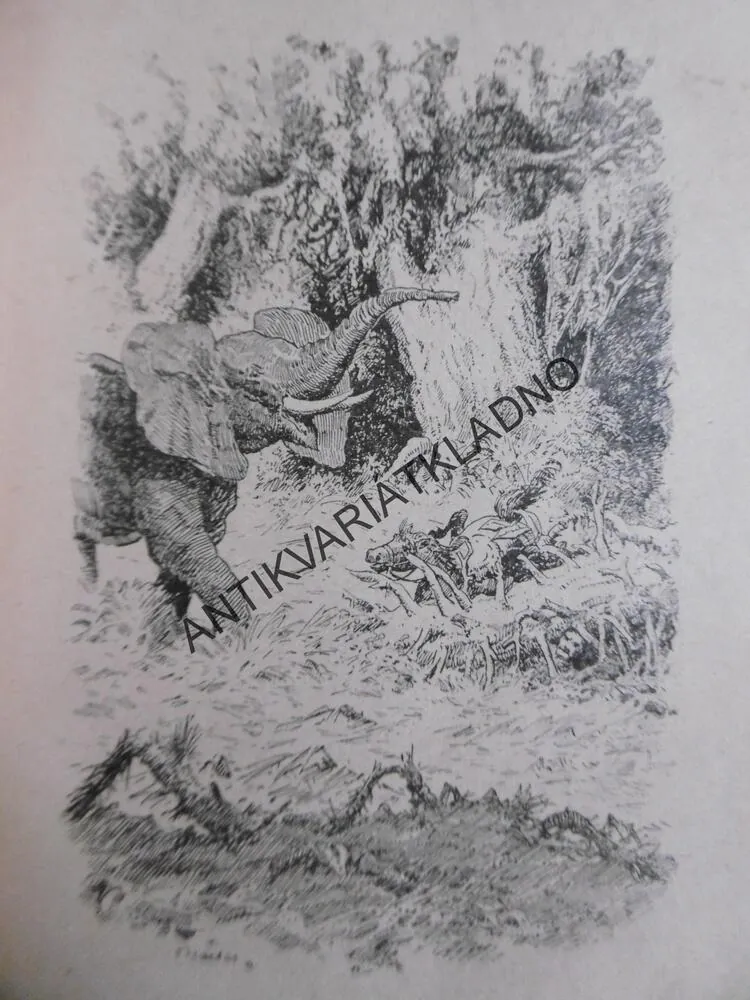 ALLANOVA ŽENA, H. R. HAGGARD, ČUTTA, **an
