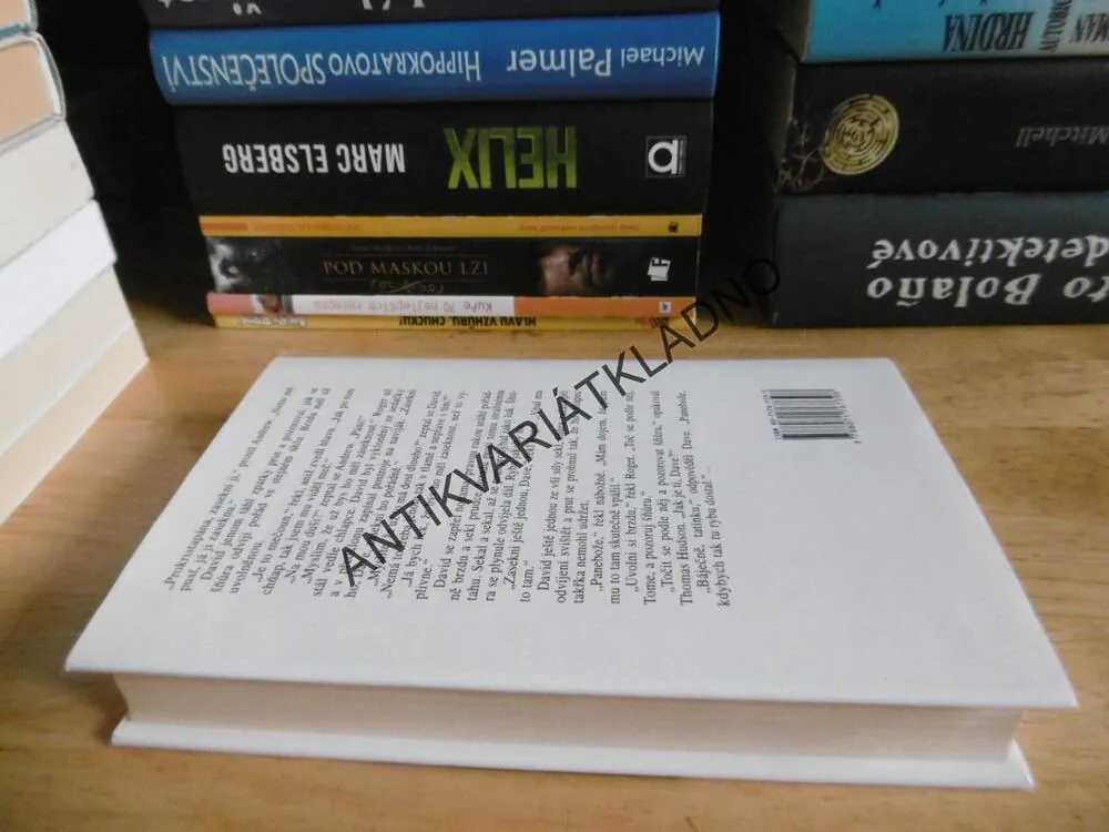 OSTROVY UPROSTŘED PROUDU, ERNEST HEMINGWAY, **an
