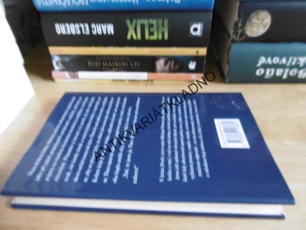DRUHÝ NÁZOR, MICHAEL PALMER, **an