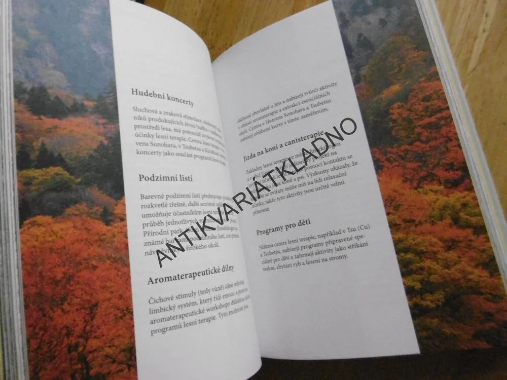 SHINRIN-YOU, LESNÍ TERAPIE PRO ZDRAVÍ A RELAXACI - INSPIRUJTE SE JAPONSKEM, PROFESOR YOSHIFUMI MIYAZAKI, **an