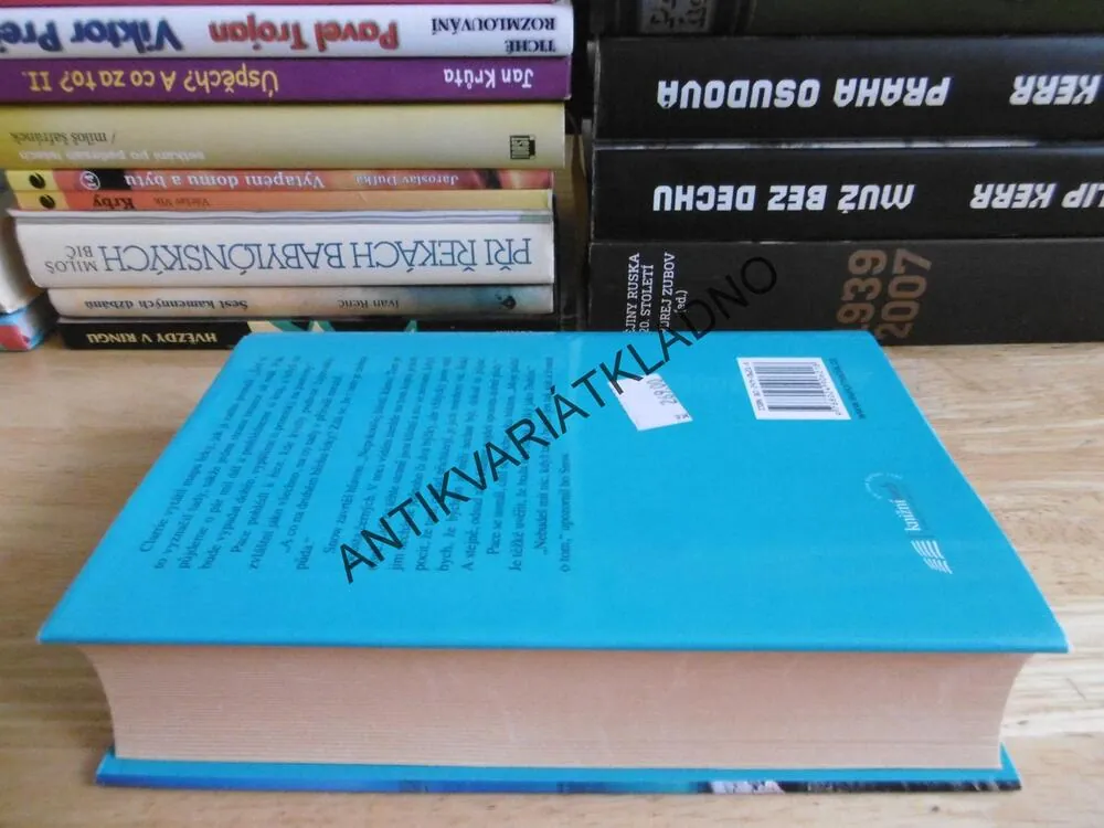 ÚDOLÍ LAGUN, PATRICIA SHAWOVÁ, **an