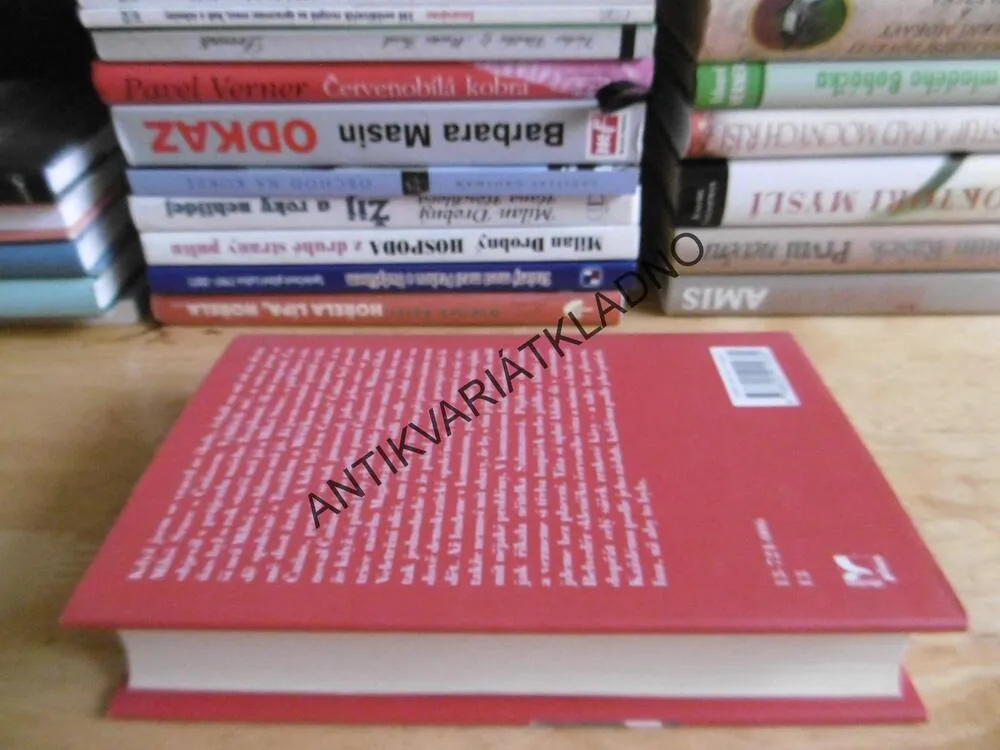 LAMPIONOVÝ PRŮVOD, JIŘÍ SLAVÍČEK, **an
