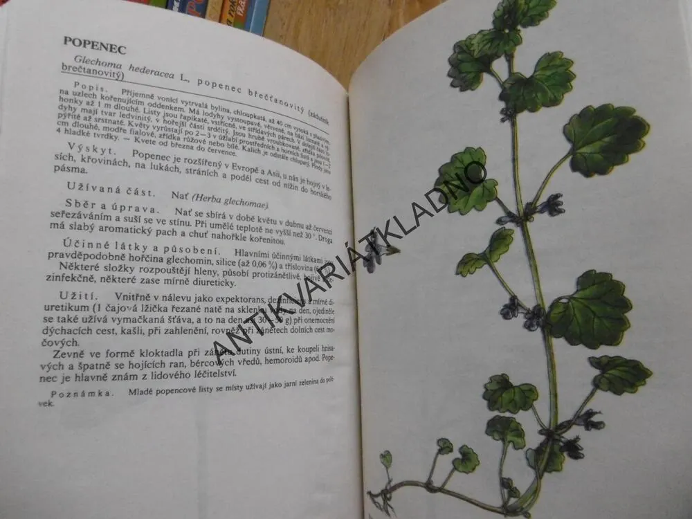 NAŠE ROSTLINY V LÉKAŘSTVÍ, JAROSLAV KORBELÁŘ, ZDENĚK ENDRIS, JINDŘICH KREJČA, **an