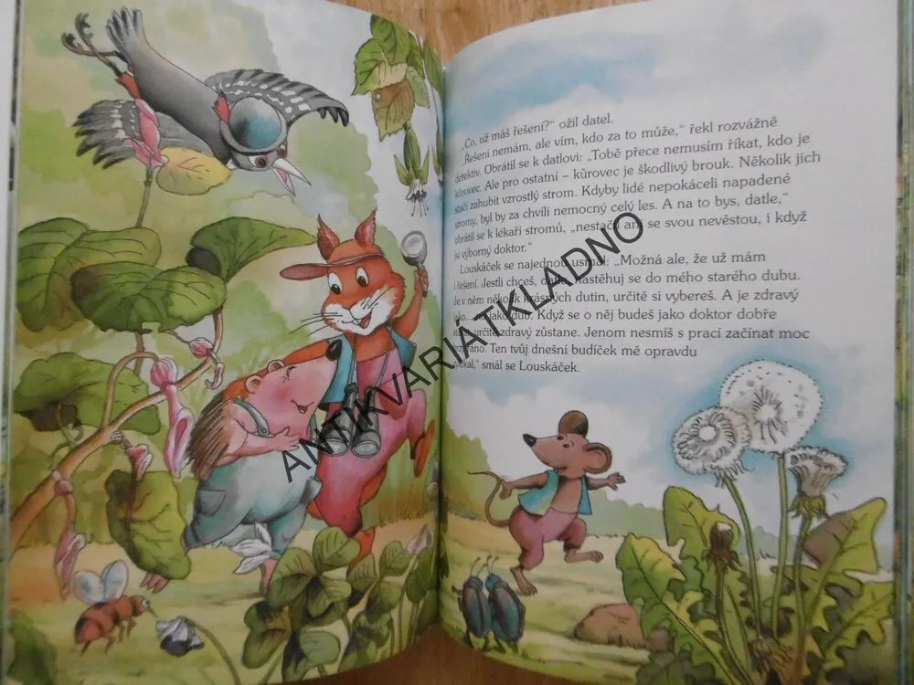 DETEKTIV LOUSKÁČEK LOUSKÁ LESNÍ ZÁHADY, CHRISTINE RETTL, ALEKSANDRA A ALEKSANDER, **an
