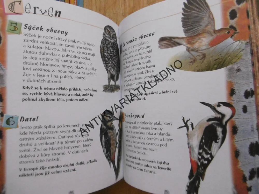 365 ZAJÍMAVOSTÍ O ZVÍŘATECH, MARIA JOSÉ VALERO, FRANCISCO ARREDONDO, **an