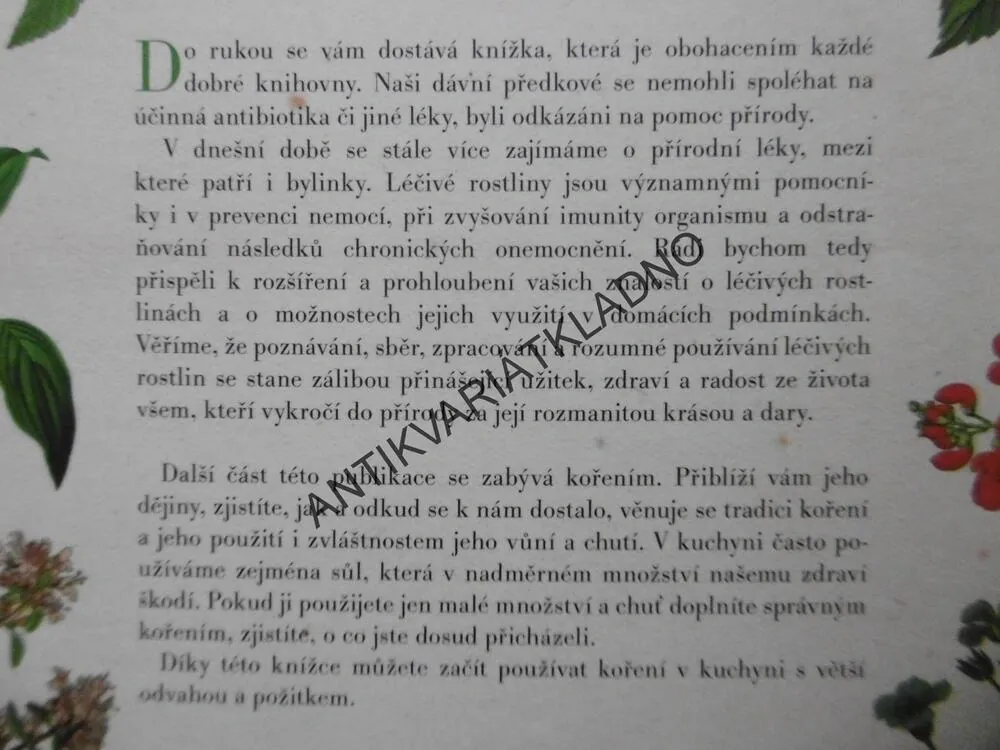 BABIČČINA LÉKÁRNA NAD ZLATO,**an