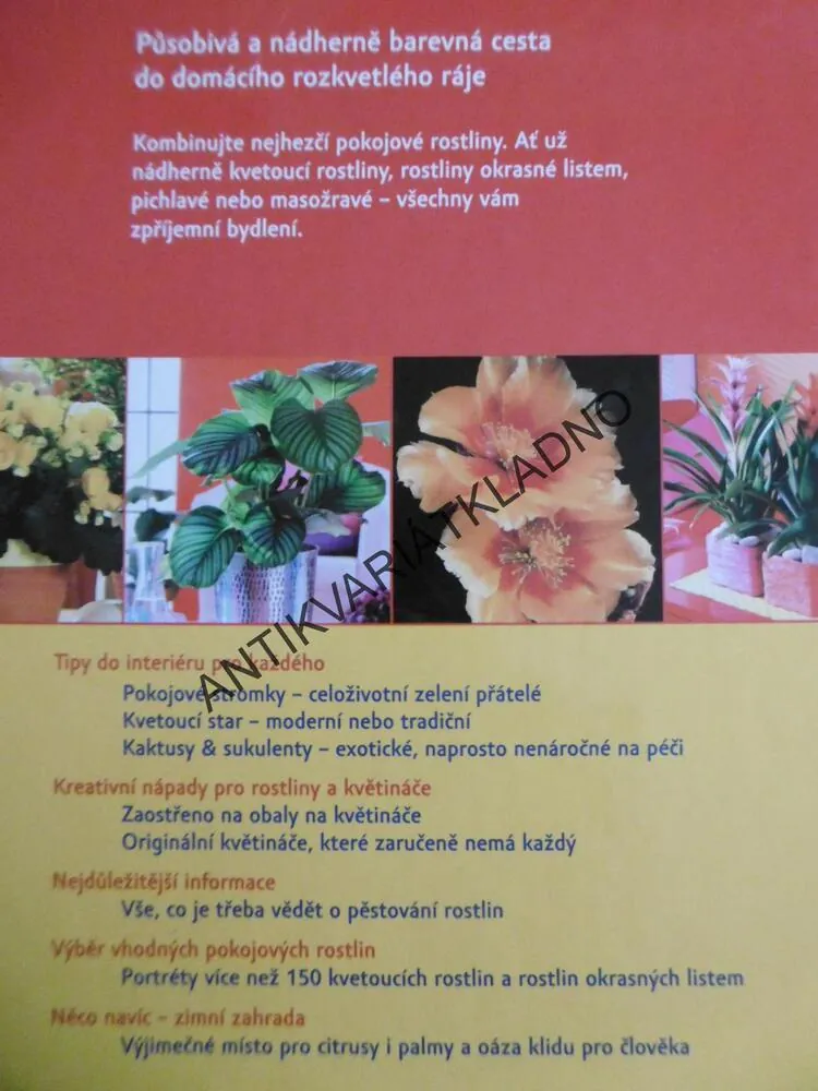POKOJOVÉ ROSTLINY, BRAUNOVÁ-BERNHARTOVÁ, **an