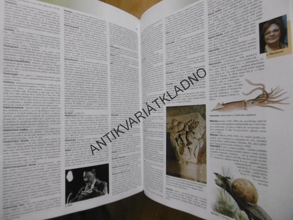 OTTOVA VŠEOBECNÁ ENCYKLOPEDIE VE DVOU SVAZCÍCH, A-L, M-Ž, **an