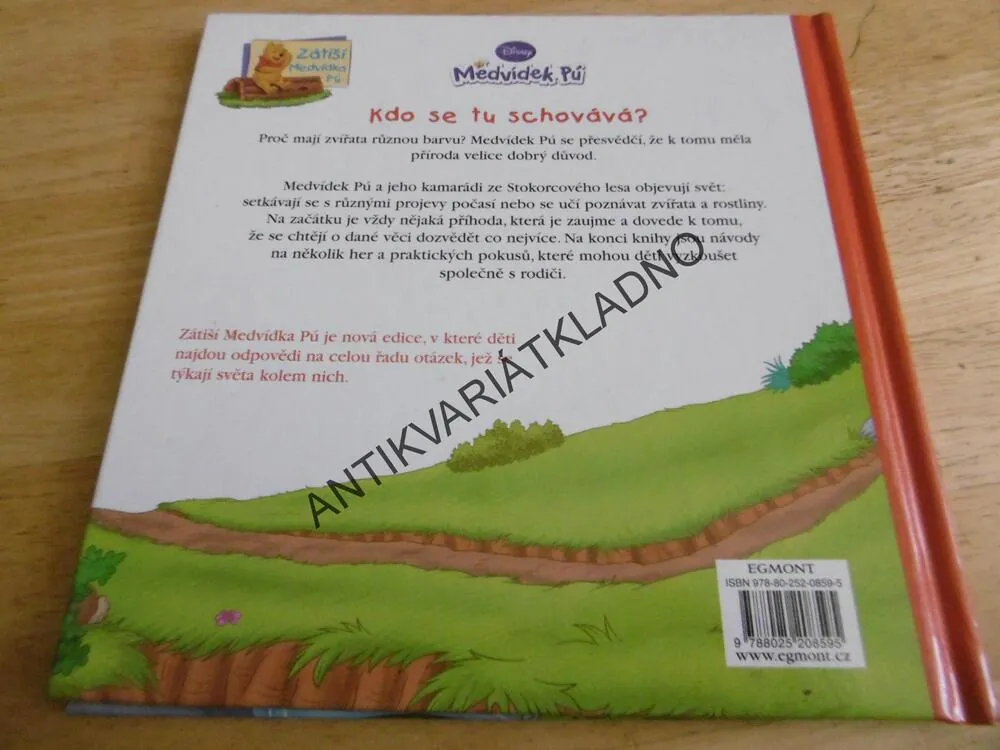 KDO SE TU SCHOVÁVÁ, MEDVÍDEK PÚ, **an