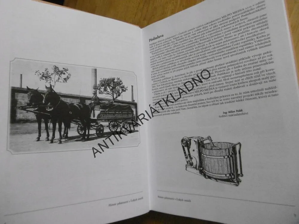 HISTORIE PEKÁRENSTVÍ V ČESKÝCH ZEMÍCH, **an