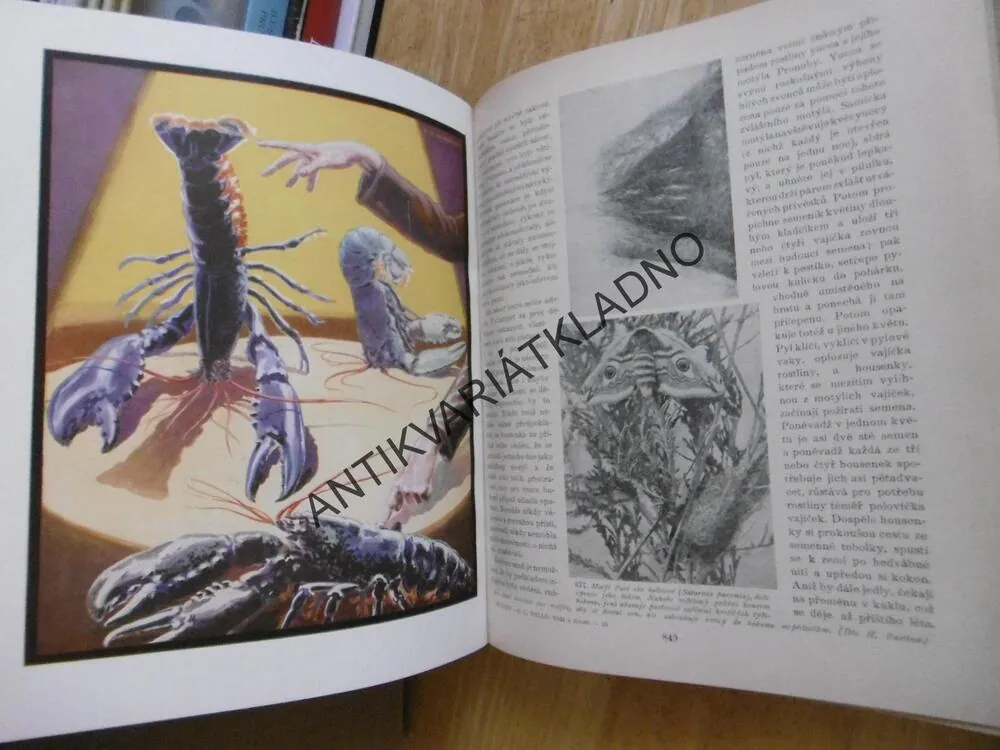 VĚDA O ŽIVOTĚ, 1-3., H.G WELLS, J.HUXLEY, G.P.WELLS,1931,  **an