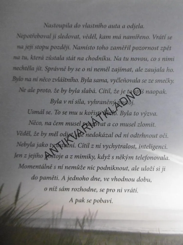 NÁHRADNICE, TANIA CARVEROVÁ, **an