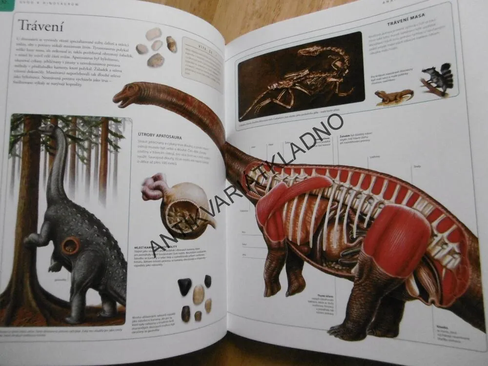 DINOSAUŘI, VELKÁ DĚTSKÁ ENCYKLOPEDIE, SURMAN, 142 DRUHŮ
