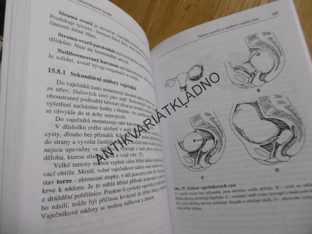 GYNEKOLOGOVÉ ŽENÁM, FRANTIŠEK MACKŮ, **an
