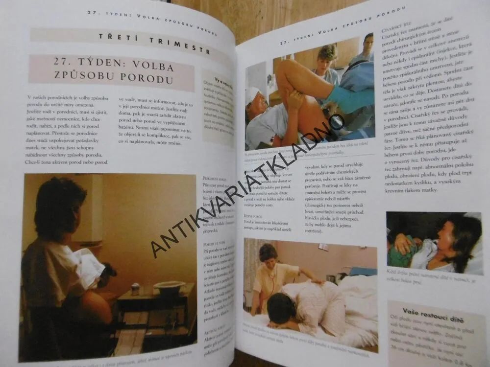 TĚHOTENSTVÍ A PÉČE O DÍTĚ, PRAKTICKÁ PŘÍRUČKA, ALISON MACKONOCHIEOVÁ, **an