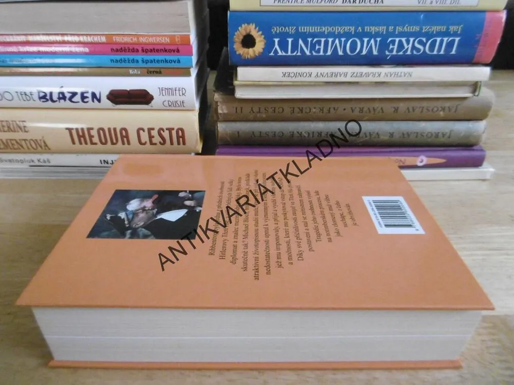 RIBBENTROP, MICHAEL BLOCH, VÁLKA, TŘETÍ ŘÍŠE, NĚMECKO, **an