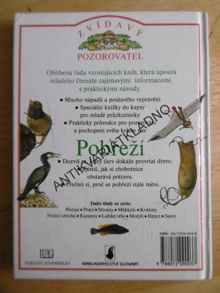 POBŘEŽÍ, ZVÍDAVÝ POZOROVATEL, **an