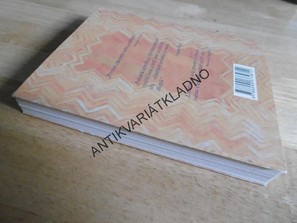 ZBAVTE SE NEPOŘÁDKU S FENG ŠUEJ, KAREN KINGSTON, **an