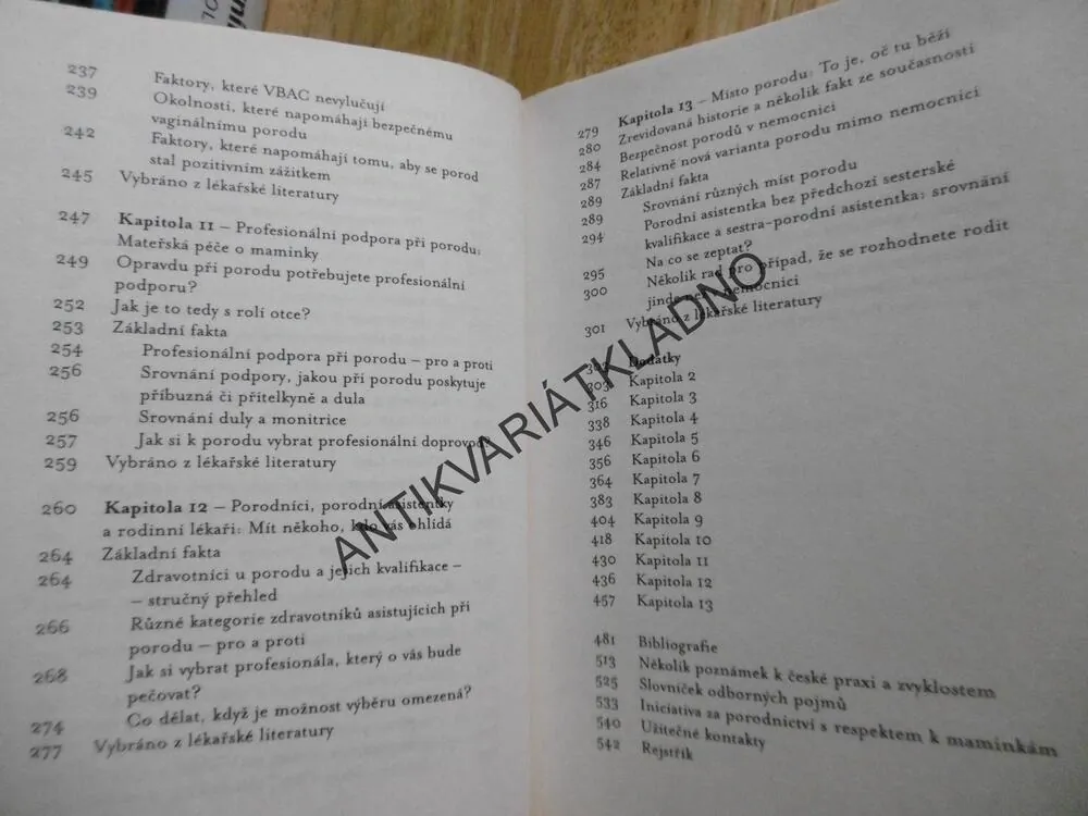 PRŮVODCE PŘEMÝŠLIVÉ ŽENY NA CESTĚ K LEPŠÍMU PORODU, HENCI GOER,, **an