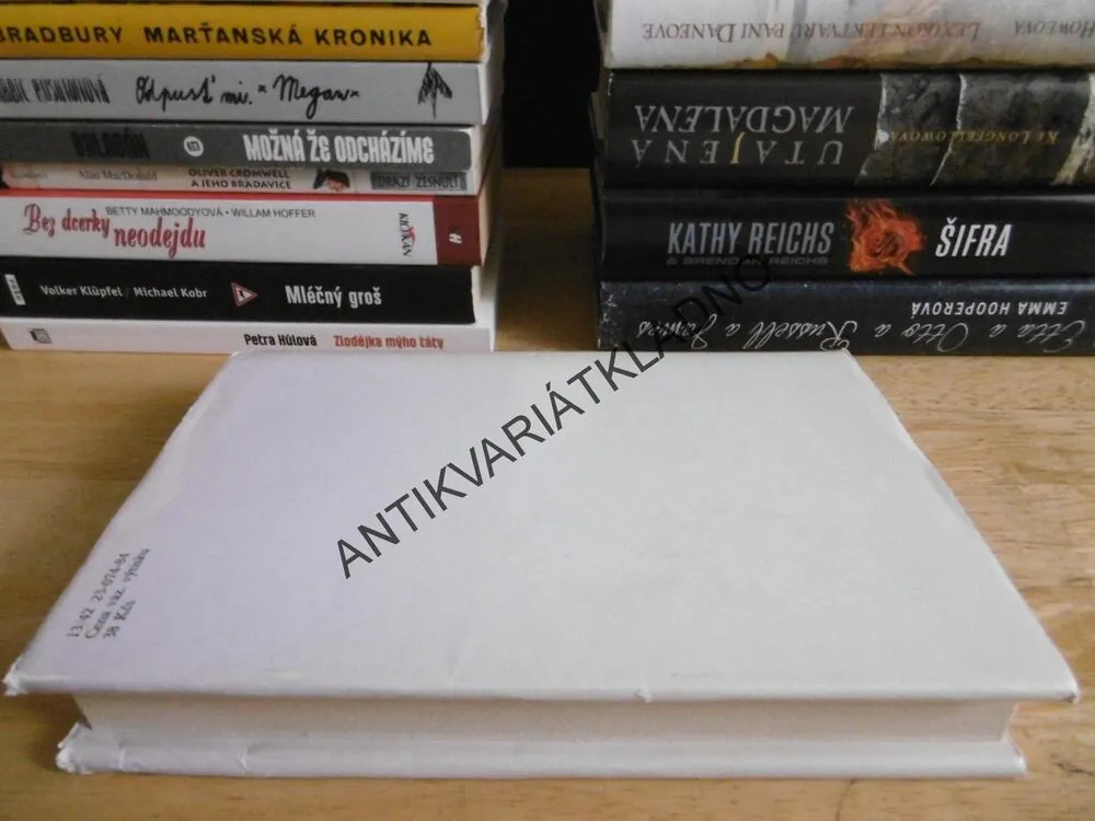 POEZIE PŘELOMU STOLETÍ, **an