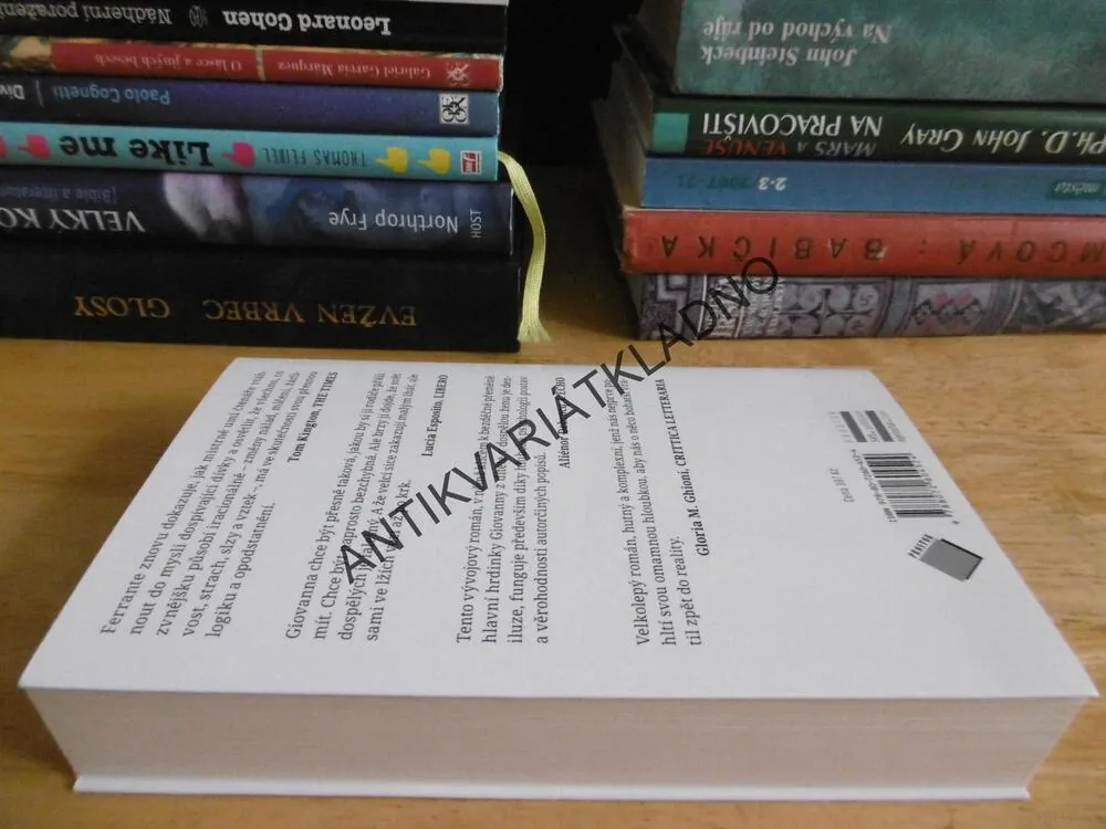 PROLHANÝ ŽIVOT DOSPĚLÝCH, ELENA FERRANTE, **an