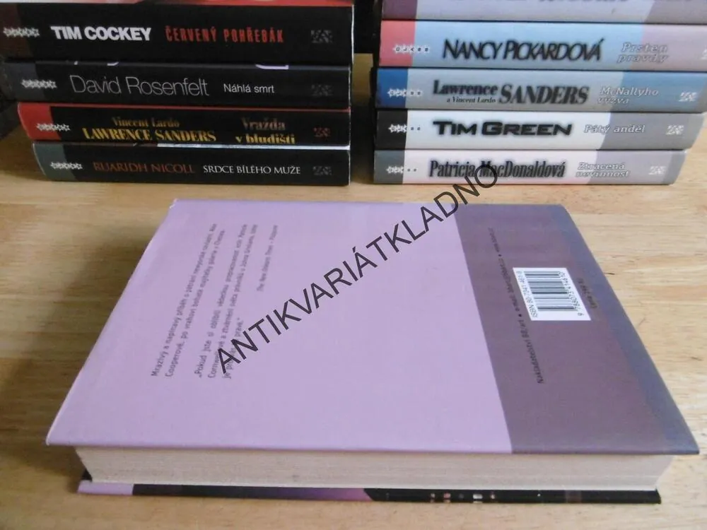 PŘESNÝ ZÁSAH, LINDA FAIRSTENOVÁ, **an