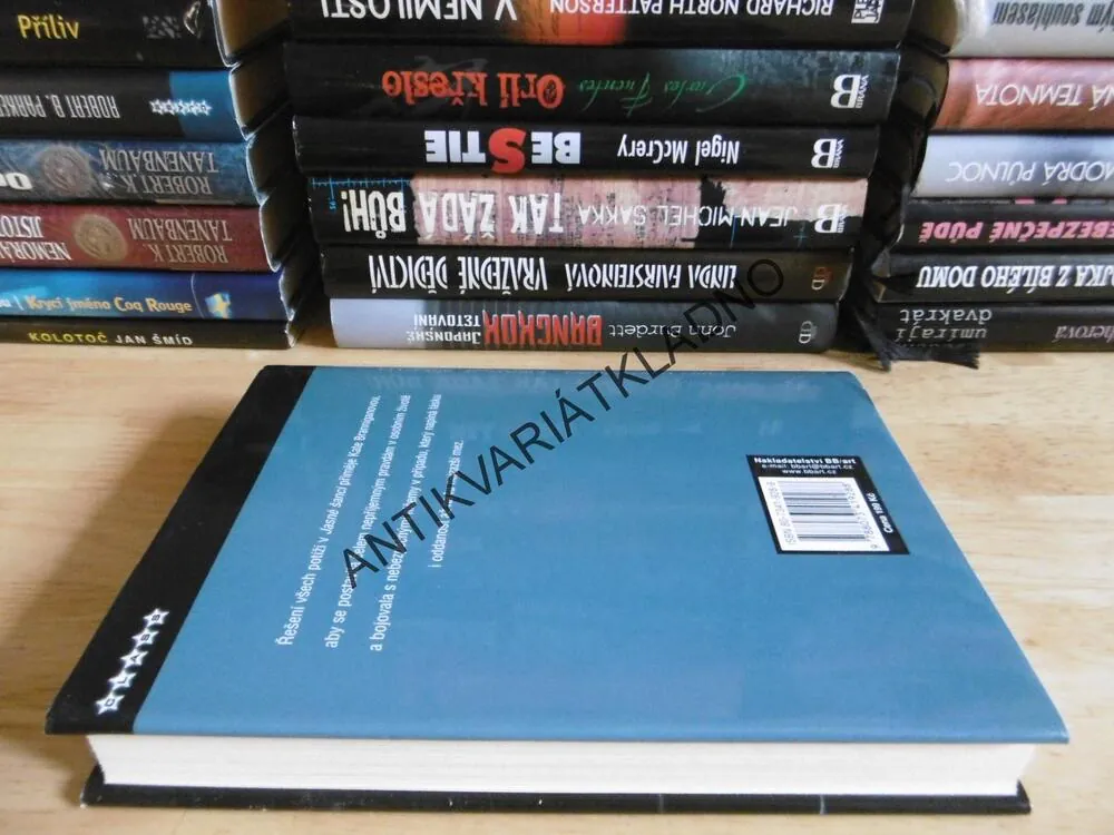 JASNÁ ŠANCE, VAL MCDERMIDOVÁ, **an
