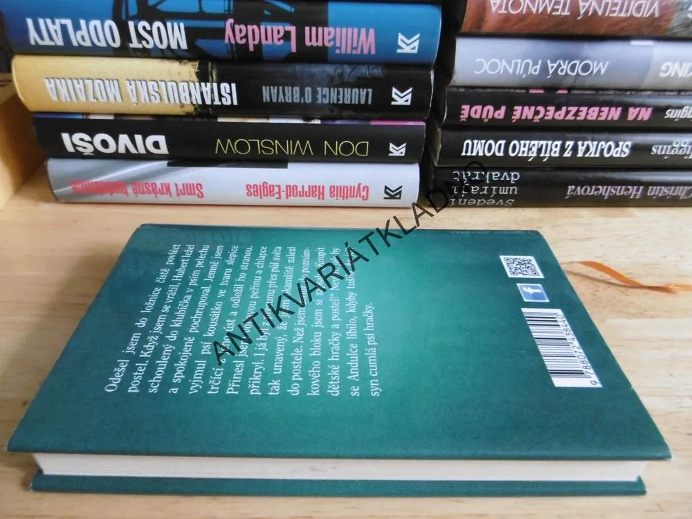 OSVÍCENÍ ZOUFALÉHO MUŽE, JITKA LUDVÍKOVÁ, **an
