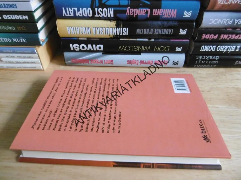STŘÍPKY PRAVDY, LISA UNGEROVÁ, **an