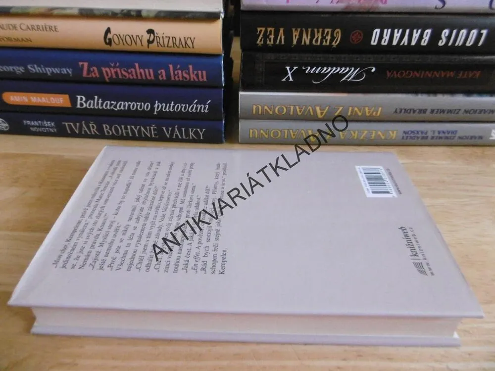 ŠACHOVÝ TUREK, ROBERT LÖHR, **an