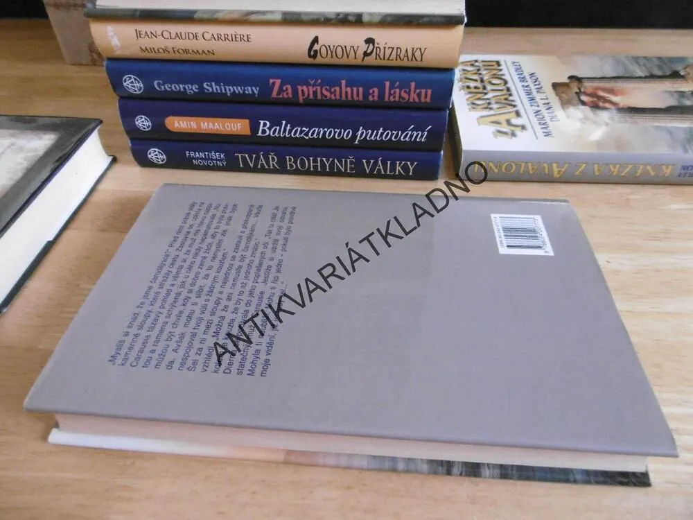PANÍ Z AVALONU, MARION ZIMMER BRADLEY, **an
