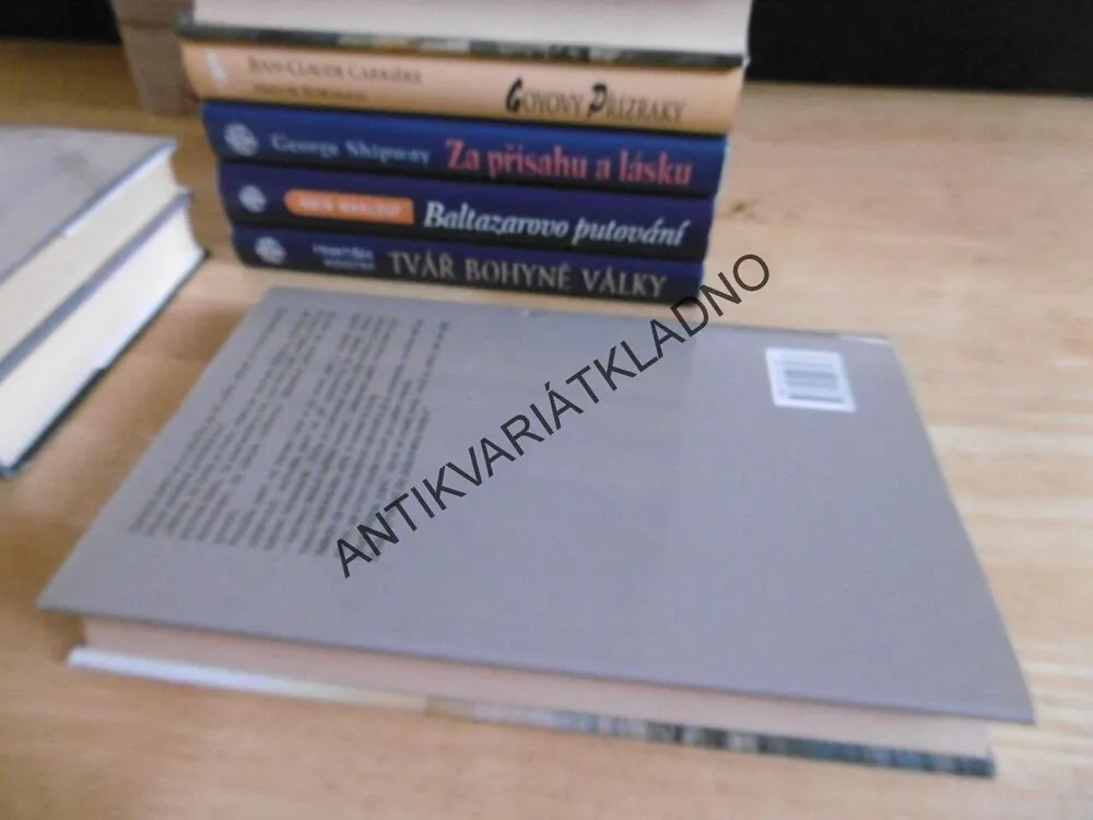 KNĚŽKA Z AVALONU, MARION ZIMMER BRADLEY, DIANA L. PAXSON, **an