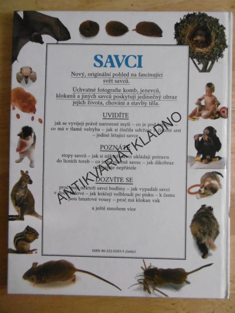 SAVCI, **an
