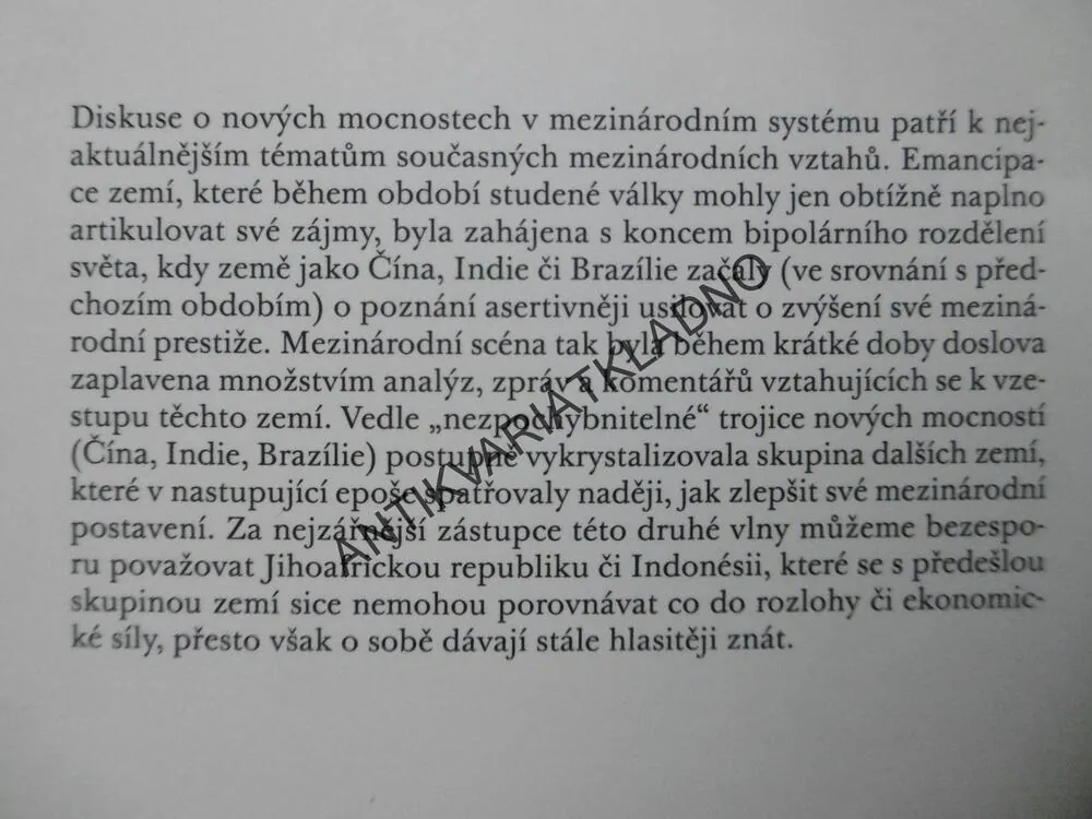 NOVÉ MOCNOSTI GLOBÁLNÍHO JIHU, LINDA PIKNEROVÁ,**an