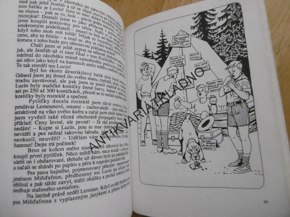 NOVÁČEK BUBÁČEK PÍŠE DENÍK, JAROSLAV FOGLAR, **an