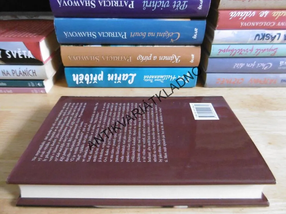 ÚZEMÍ ZTRÁT, JACQUELYN MITCHARDOVÁ, **an