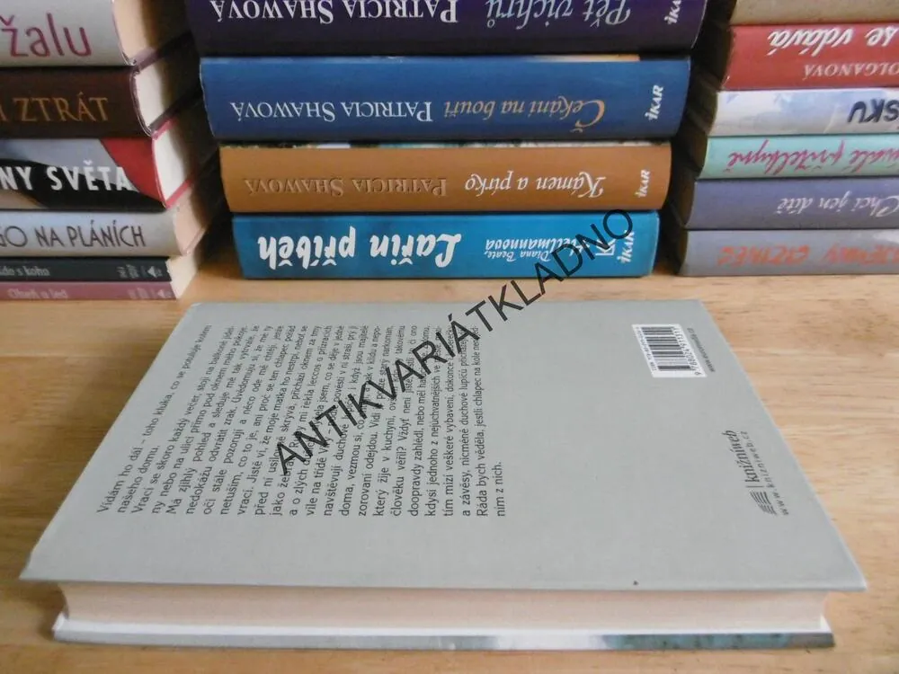 KASPICKÝ DÉŠŤ, GINA B. NAHAI, **an