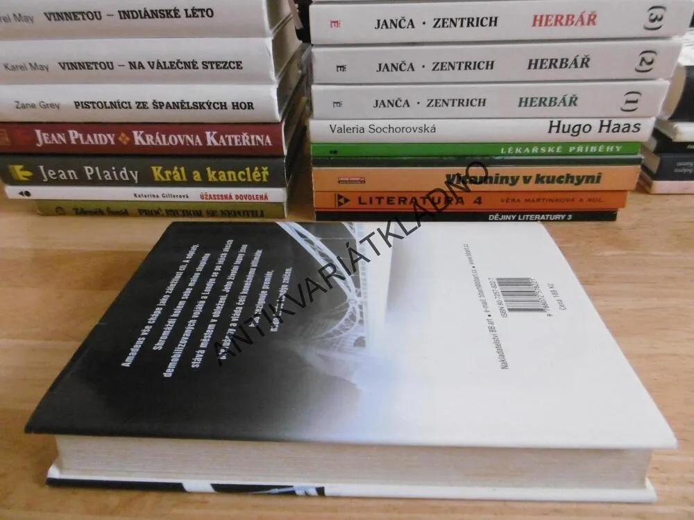 MĚSTO V OBLEŽENÍ, MICHAEL DOBBS, **an
