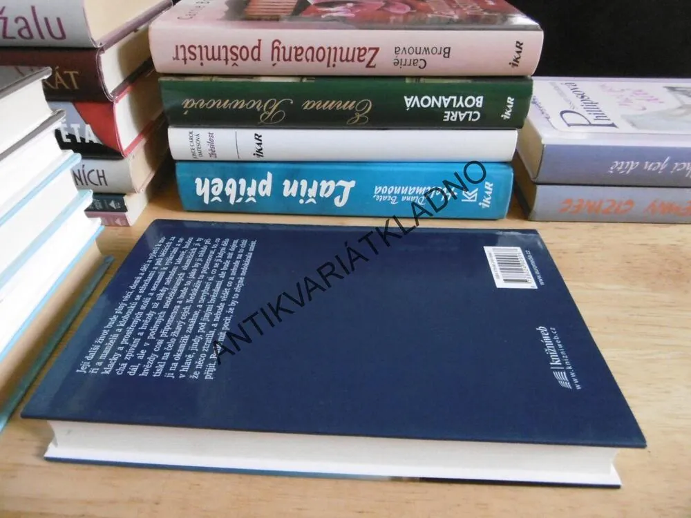 TEN VEČER, SUSAN MINOTOVÁ, **an
