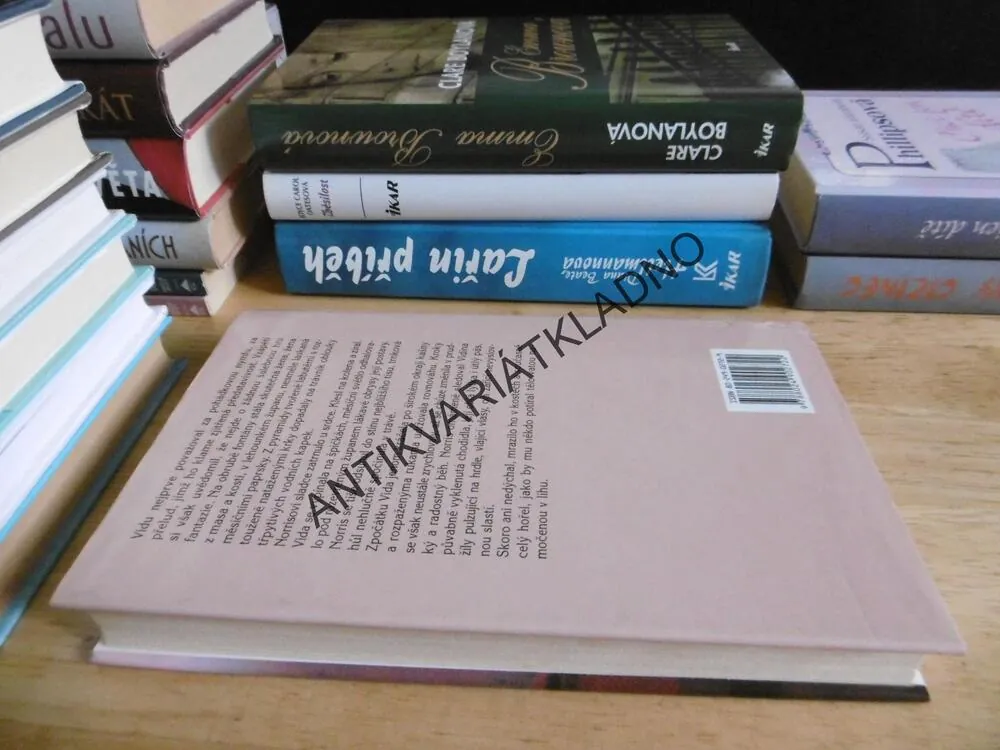 ZAMILOVANÝ POŠTMISTR, CARRIE BROWNOVÁ, **an