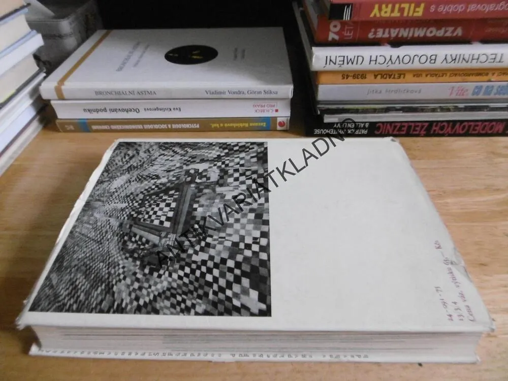 ŠACHY VŠECH DOB A ZEMÍ, JERZY GIŽYCKI, **an