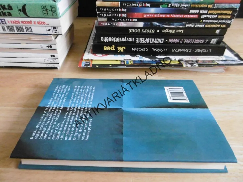 PŘEDVOLÁNÍ, JOHN GRISHAM, **an