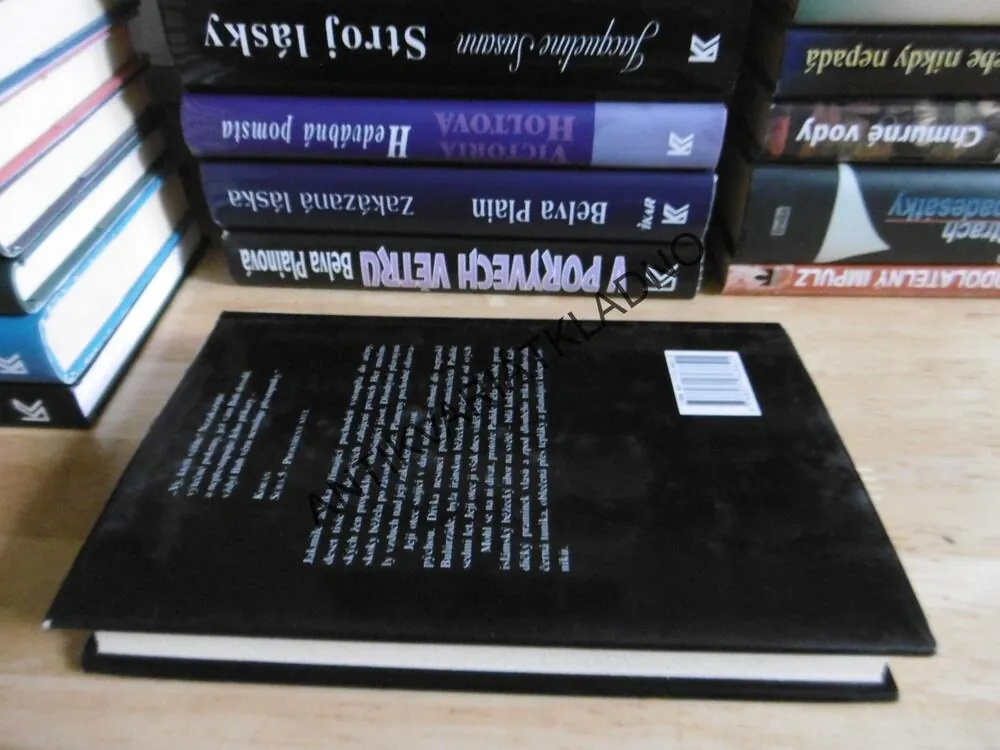 DEVĚT ČÁSTÍ TOUHY, GERALDINE BROOKS, **an