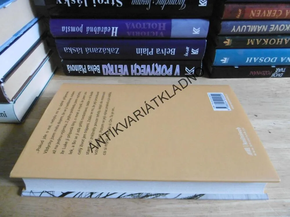 NÁVRAT DO CROW LAKE, MARY LAWSON, **an