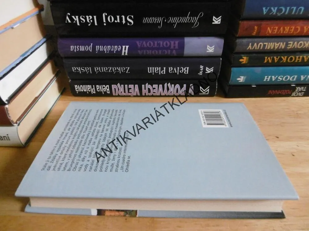 CHMURNÉ VODY, DANUTA REAHOVÁ, **an