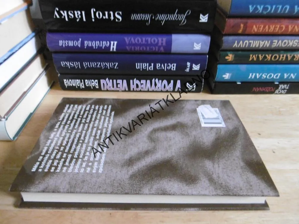 VARIACE NA LÁSKU, BARBARA DELINSKY, **an
